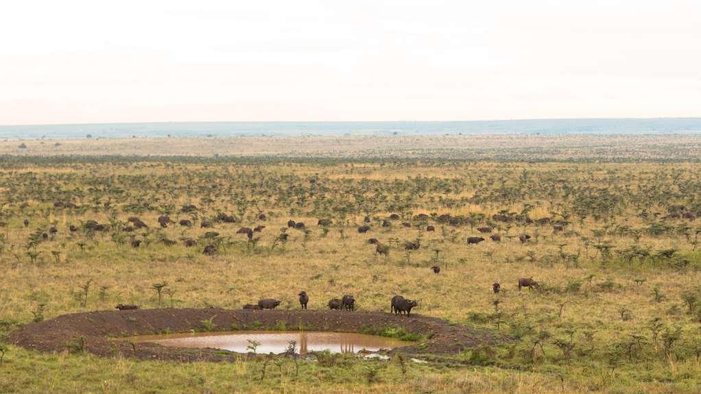 Ole Sereni Nairobi Exteriér fotografie